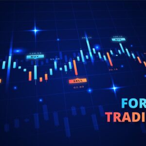 The Complete Fundamentals of FOREX Trading Master Class